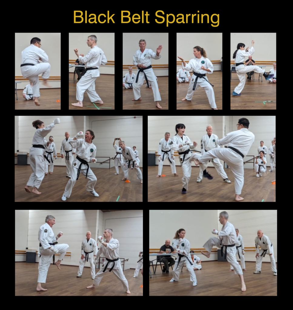 Toronto Academy of Karate, Fitness & Health Black Belts Sparring at 2023 Tournament
